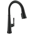 Delta Single Handle Pull Down Kitchen Faucet With Touch2O Technology 9182T-BL-DST